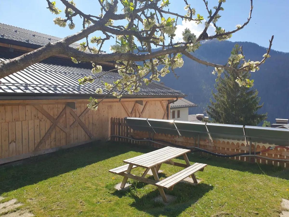 App. Monte Pore - Agriturismo La Majon コッレ・サンタ・ルチーア エクステリア 写真